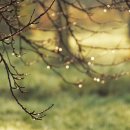 비울채울 이미지