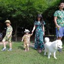 똥강아지 이미지