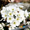 구례의길(섬진강길) 이미지