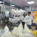 솔밭초교 병설유치원 이미지