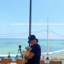 에버플(주) | 강아지와 제주 한달살이 여행 (일정 및 숙소, 준비물, 어려웠던 점, 주의사항)