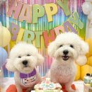 여기오개 이미지