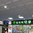 옵티마나무약국 이미지