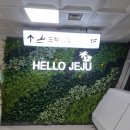 엔터정밀 | 대한항공 a321 neo 좌석배치도 부터 충전 와이파이까지 김포 제주 노선 이코노미 좌석 후기