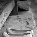 자주고름 이미지