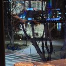 폴바셋대구수성못점 이미지