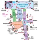 네일바이설