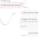 신친사