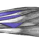 천지한의원 이미지