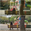 능안공원 이미지