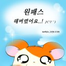김포미용학원 헤어국가자격증 원패스하다