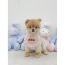 섬댕 강아지 미용실 이미지