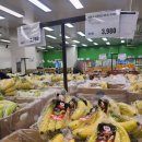 빙그레약국 | 대전 월평동 이마트 트레이더스 (feat. 크리스마스 간식, 추천템)