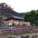 율포펜션 이미지