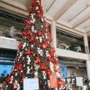 춘천시1층 로비 | 춘천 크리스마스 감성 올데이스테이 임산부 겨울 데이트 코스