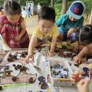 은새유치원 이미지