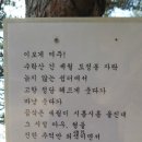 도정봉 Daum카페