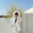 올리비아 이미지