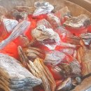 오리여행 이미지