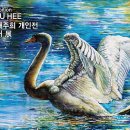 배주희