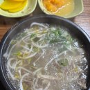 서홍로 | 희신이네 | 제주 서귀포 도민맛집 풍자 또간집 1등 내돈내산 솔직후기