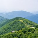 맞춤형코스 이미지