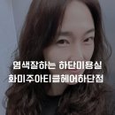 하단1동-4 이미지