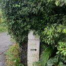 사계호스텔 | [제주도/서귀포] 구구호스텔: 제주 혼자여행ㅣ조용한 감성 게스트하우스 추천