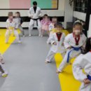 든든 태권도장 이미지