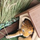 경희세탁소 이미지