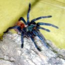 아현역(2) 이미지