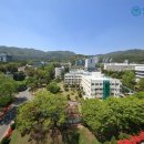 부산대학교 이미지