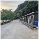 성지애견 | 가평 반려견 캠핑의 성지! 링크독애견파크 솔직후기