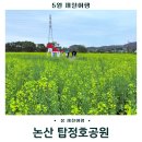 탑정호 수변생태 공원 | 논산 가볼만한 곳 탑정호수변생태공원 작약 유채꽃명소