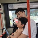 가족뮤지컬 <아기돼지삼형제> | 32개월 아기와 함께한 첫 어린이 뮤지컬, 아기돼지 삼형제 솔직 후기