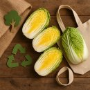 정수축산 | 친환경 절임배추 구매부터 보관까지 완벽 가이드