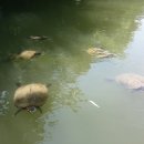 부산백페커스