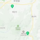 보림제다영농조합법인