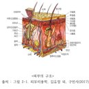 다움교육원 이미지