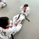 용인대 미르 태권도 네이버블로그