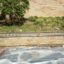 상록고등학교 이미지