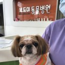 교현2동주민센터 이미지