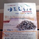 부산 기장 멸치 :: 베드로 수산 :: 마른 멸치 구입 후기