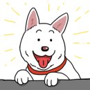 레츠플레이 이미지