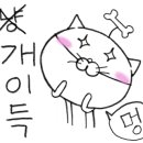 디어메이트 이미지