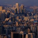 김앤행정사사무소 이미지