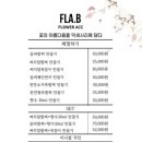 플라비 가로수점