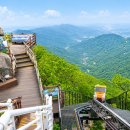 3.93km 국내 최장 모노레일이라더니 진짜네... 해발 1,228m 까지 등산 없이 닿는 명산 이미지