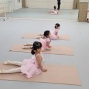 발레메이트학원 이미지