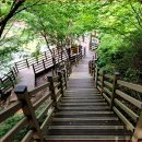 입곡군립공원(출렁다리) 이미지